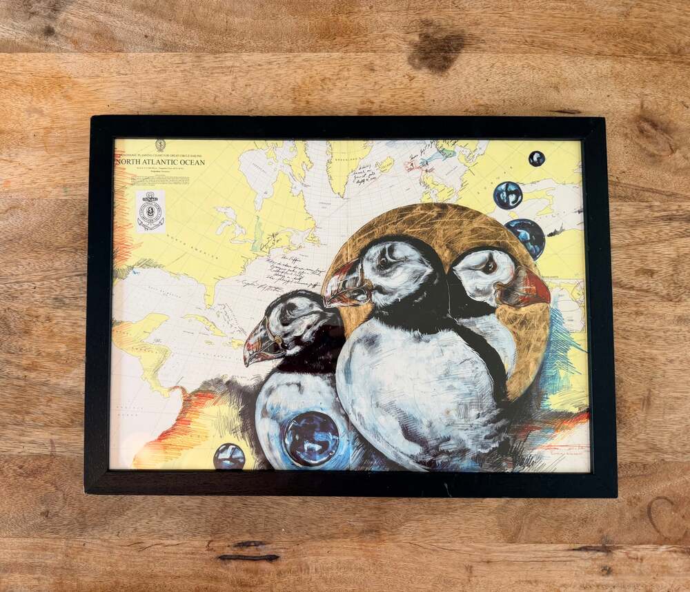 Simone Eisenbeiss Puffins Art Print Framed Paul Watson Foundation Map 18x13